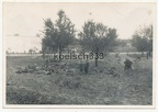 [Z.Art.Rgt.103.001] Foto Beerdigung gefallener Soldaten in einem Massengrab in Polen 1939