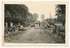 [Z.Art.Rgt.103.001] Foto Pferde Kadaver und Feldwagen auf Vormarschstraße der Wehrmacht in Polen